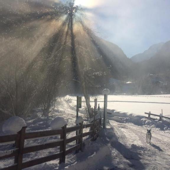 Alpen Apart Michael Mayrhofen Exterior photo